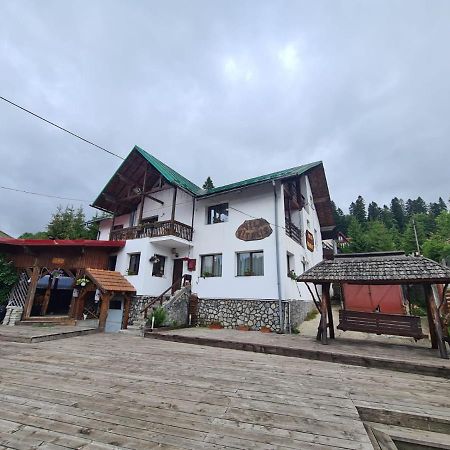 Vila Vitalis 普雷代亚尔 外观 照片